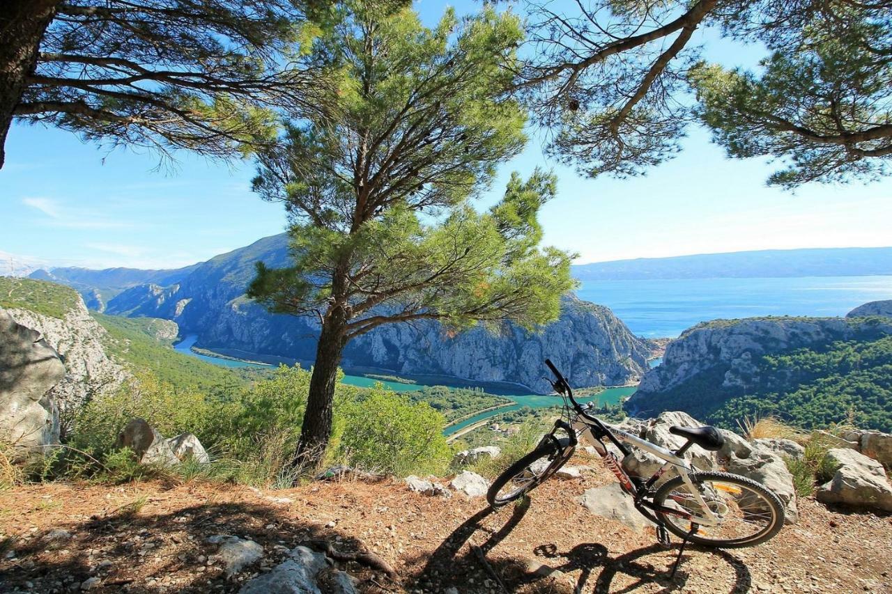 Villa Ana - 3 Bedroom Villa With Private Pool And Unspoiled Natural Environment Kučiće 外观 照片
