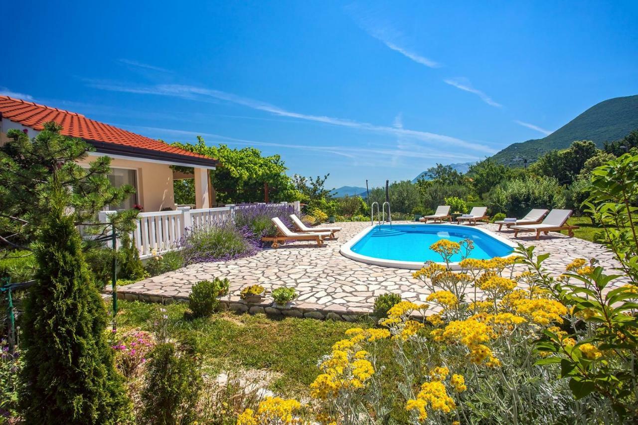 Villa Ana - 3 Bedroom Villa With Private Pool And Unspoiled Natural Environment Kučiće 外观 照片
